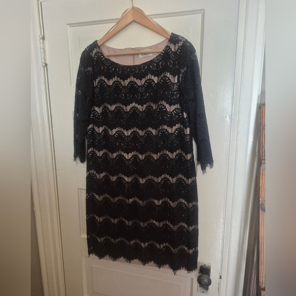 ELIZA J Lacy Bodycon Mini Shift Dress w Scoop Neck and 3/4 Sleeves Size 16 - Picture 3 of 7